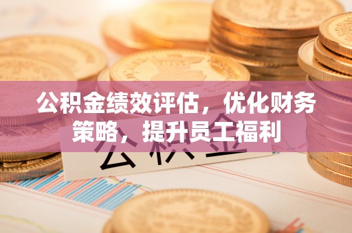 新青公积金绩效评估，优化财务策略，提升员工福利