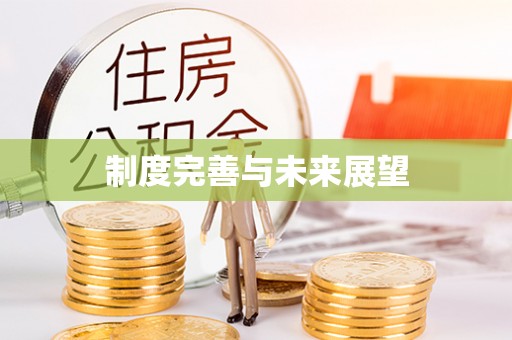 新青制度完善与未来展望