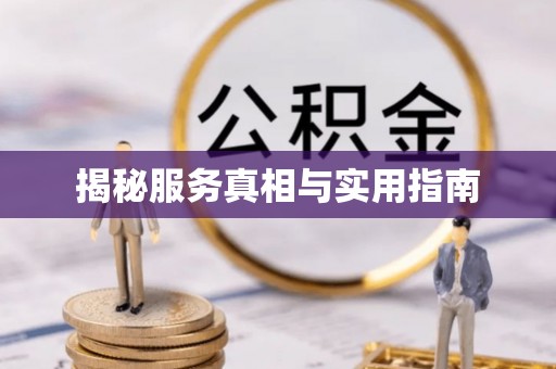 新青揭秘服务真相与实用指南