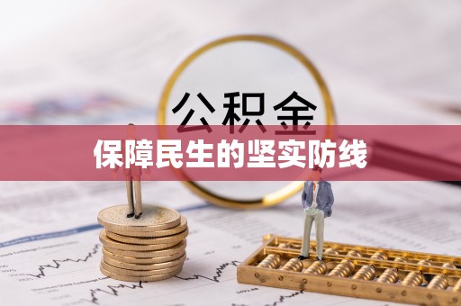 新青保障民生的坚实防线