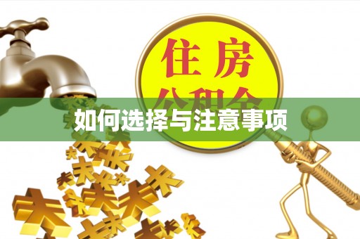 新青如何选择与注意事项