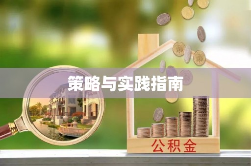 新青策略与实践指南